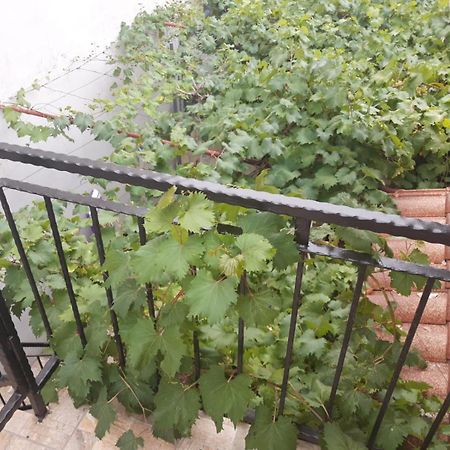 Melon-1, Murter, House For Rest ภายนอก รูปภาพ